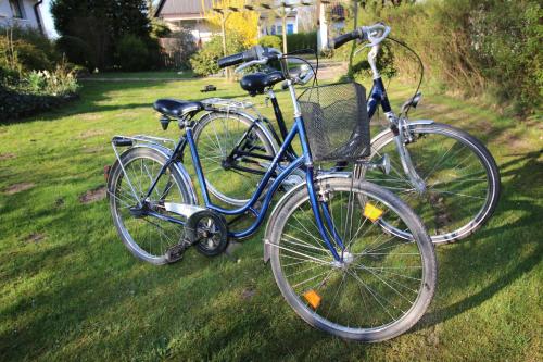two bikes parked in the grass in a yard at Haus am See in Lembruch