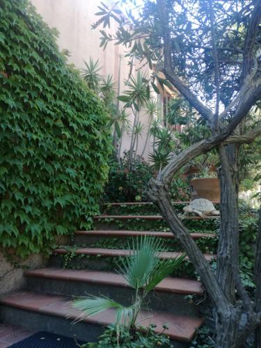 a set of stairs in a garden with a tree at Villa Grande in Messina