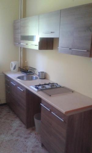 Η κουζίνα ή μικρή κουζίνα στο Apartamenty, Pokoje, Noclegi, " Skarpa" Wilkasy