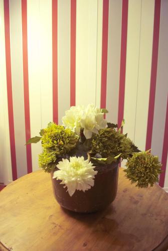 a vase filled with white flowers on a table at El Lacayo de Sestiello in Grado