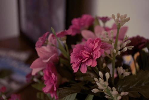 a bouquet of pink flowers in a vase at El Lacayo de Sestiello in Grado
