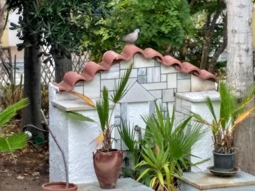 Gambar di galeri bagi 9 Musses Hotel Apartments di Skala Mistegnon