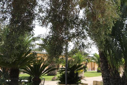 a group of trees with a building in the background at Agriturismo La Maddalena in Acate