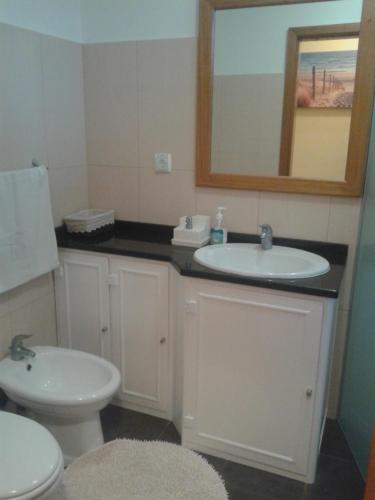 La salle de bains est pourvue d'un lavabo, de toilettes et d'un miroir. dans l'établissement Apartamento Barros, à Estreito de Câmara de Lobos