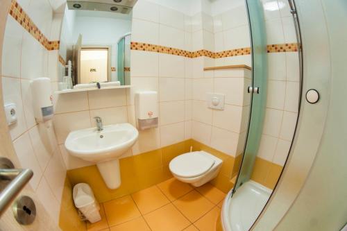 a bathroom with a toilet and a sink and a shower at Penzion Černej pták in Jindřichŭv Hradec