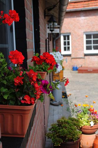 Taman di luar Bed and Breakfast Am Schwatten Berg