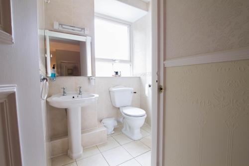 a bathroom with a toilet and a sink and a window at Hafan Artro in Llanbedr