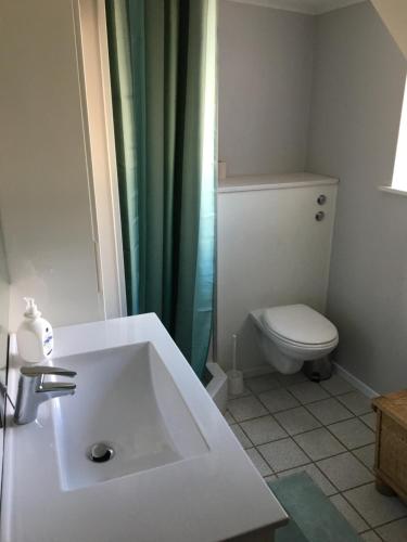 een badkamer met een witte wastafel en een toilet bij AB Centrum Randers in Randers