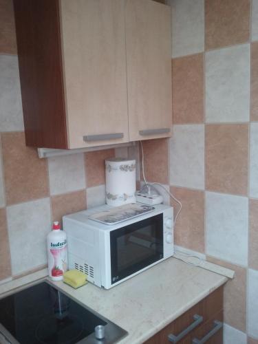 a microwave oven sitting on a counter in a kitchen at Sissy Vendégház in Mórahalom