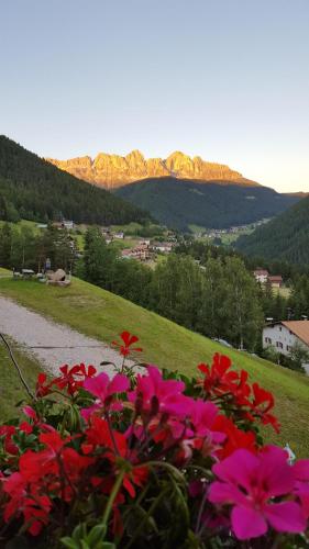 a bunch of pink flowers in a field with mountains at Kellnerhof in Nova Levante
