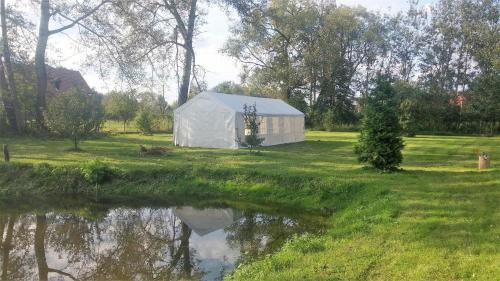 a white greenhouse in a field next to a body of water at Dom Wilków in Leoncin