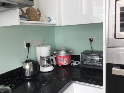 Η κουζίνα ή μικρή κουζίνα στο Garden Apartment at Zenith