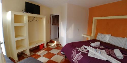 a bedroom with a bed and a tv on a wall at Hotel Roseville in Chignahuapan