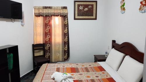a bedroom with a bed and a curtain and a television at El Jardín Del Edén in Tequisquiapan