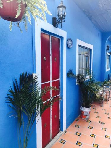 a red door in a blue building with plants at Pensión Aguayo in Puebla