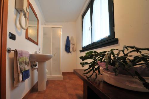 a bathroom with a sink and a potted plant at Agriturismo Le oche selvatiche in Lauzacco