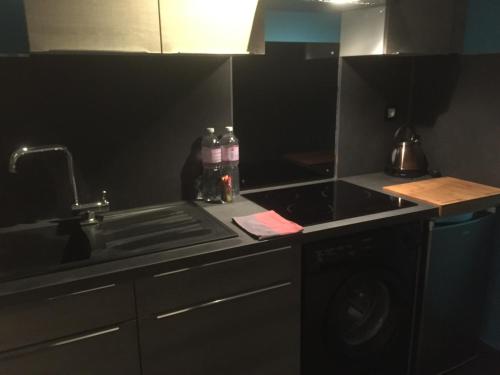 eine Küche mit Spüle und Herd oberen Backofen in der Unterkunft Appartement Saint Jean in Metz