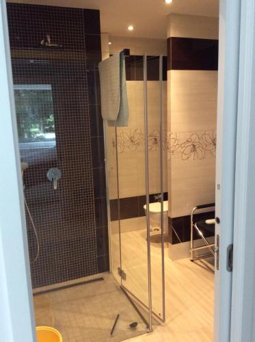 a bathroom with a shower with a glass door at Pati Ferien Apartmens in Łukęcin