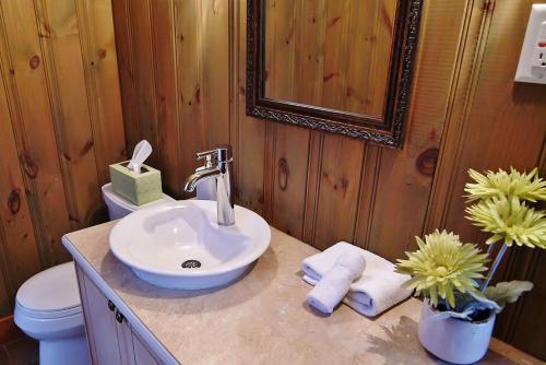 a bathroom with a sink and a toilet at Chalet 9017 Chemin des Alpages by Les Chalets Alpins in Stoneham