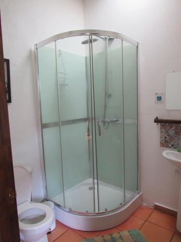 a glass shower in a bathroom with a toilet at Casa La Eliana in Salento