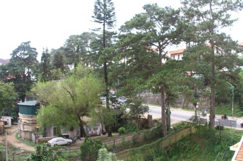 a view of a street with trees and a road at Gia Pham Hotel in Da Lat