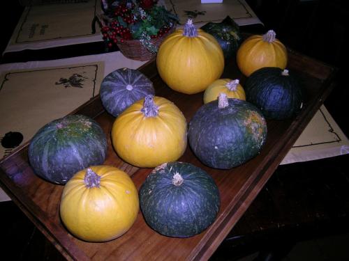 a group of pumpkins sitting on a wooden table at I Costanti in Caldiero