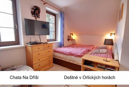 1 dormitorio con 1 cama y vestidor con TV en Chata Na Dříši, en Deštné v Orlických horách
