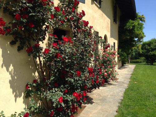 a row of red roses on the side of a building at Antica Cascina del Medico in Muzzano