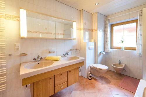 a bathroom with a sink and a toilet at Appartement Alpina in Alpbach