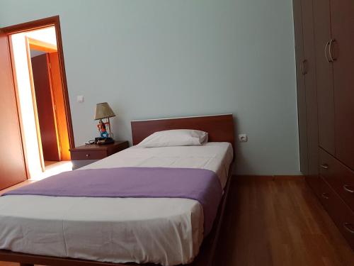 a bedroom with a large bed and a window at Dimitris Villa in Aígio