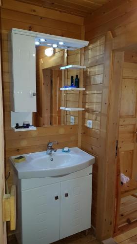 a bathroom with a sink and a mirror at Chalet Taffski in Borovets