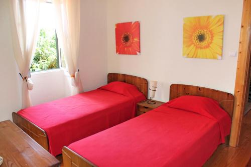 Gallery image of OurMadeira - Stonecliff Cottage, countryside retreat in Calheta