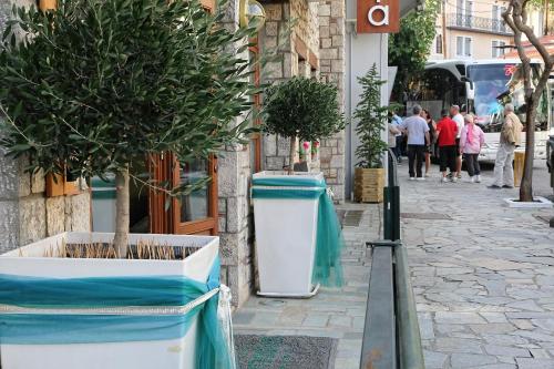 a street with potted trees on the side of a building at Boutique Hotel Parnassia in Arachova