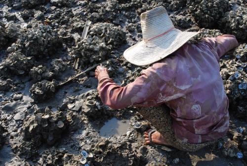 a person in a hat sitting in the mud at Salsa Hostel in Chumphon