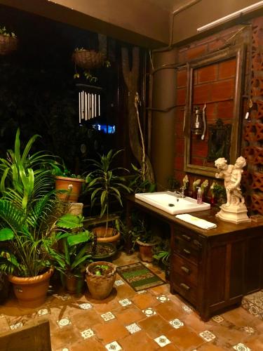 a bathroom with a sink and some plants at Golden Lotus Bangalore Boutique Suites in Bangalore