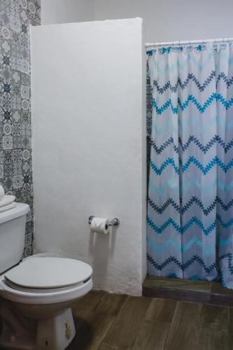 a bathroom with a toilet and a shower curtain at Hotel Colon Merida in Mérida