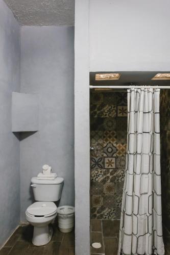 a bathroom with a toilet and a shower curtain at Hotel Colon Merida in Mérida