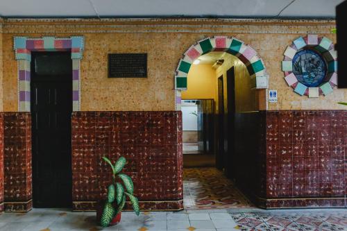 a room with a tile wall with a door and a plant at Hotel Colon Merida in Mérida