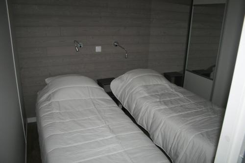 two beds in a room with a mirror at Paradis De Bellevue in Puymiclan