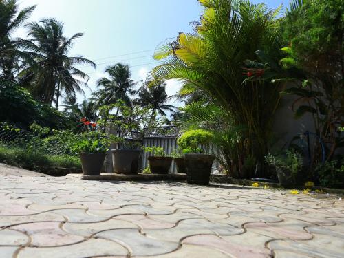 Jardí fora de Seaside House