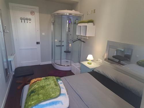 a bedroom with a shower and a bed in a room at Habitación cerca del centro in Valencia