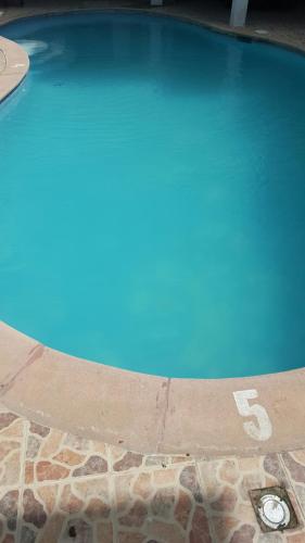 a swimming pool with blue water in the middle at Terraza del Caribe in Boca Chica