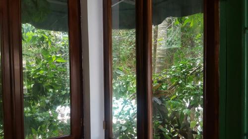 two windows in a room looking out at trees at Terraza del Caribe in Boca Chica