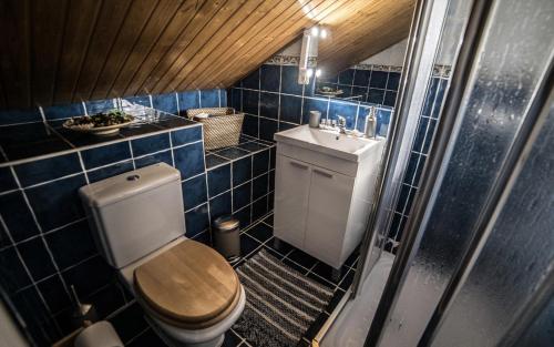a small bathroom with a toilet and a sink at Apartments Madrid Principe in Madrid