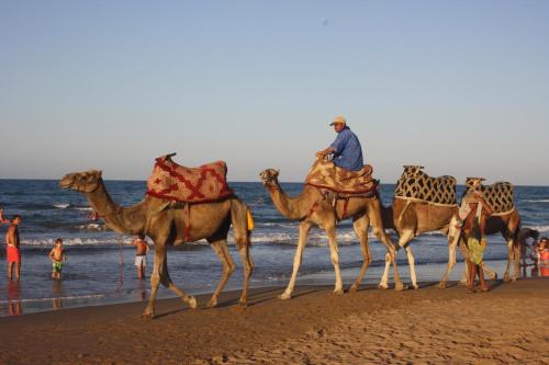 a man riding a camel on the beach at Oriental Dary in Saidia 