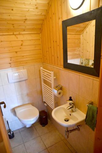 a bathroom with a toilet and a sink and a mirror at U dobrého hospodára in Bešeňová