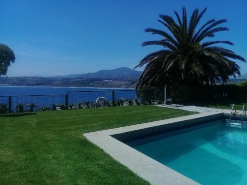 a swimming pool with a palm tree and the water at Departamento Frente al Mar in Concón