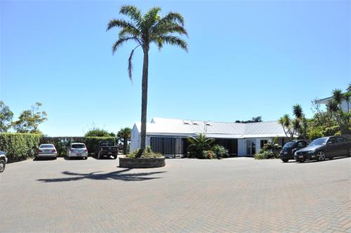 a palm tree in the middle of a parking lot at Villa Rosa at Palm Beach by Waiheke Unlimited in Palm Beach