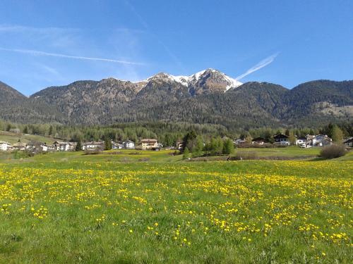 a field of flowers with mountains in the background at Appartamento Alessia in Varena