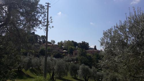 a telephone pole in a yard with houses and trees at Agriturismo Casale Giulia in Volterra